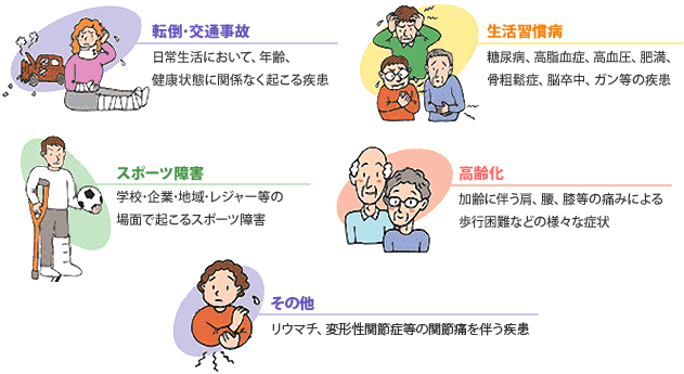 転倒・交通事故、生活習慣病、スポーツ障害、高齢化、その他
